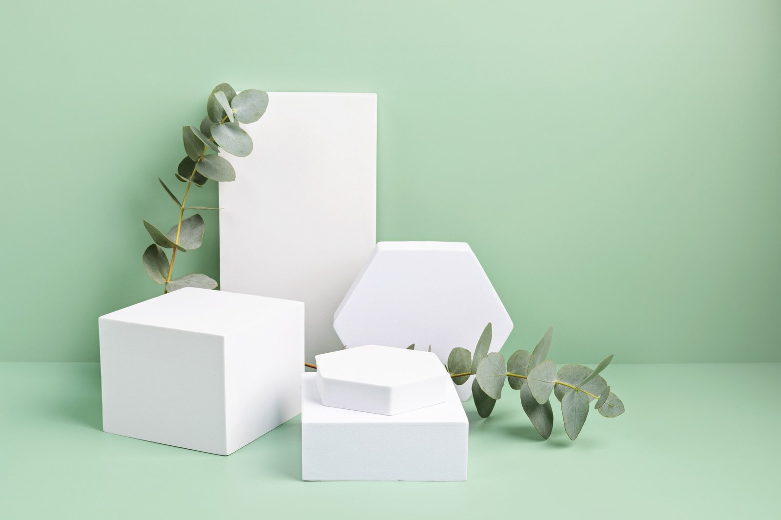 Podium, stand for product presentation and eucalyptus. Mockup for branding, packaging